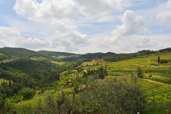 Paisaje en ruta por La Toscana