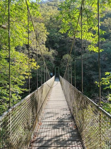 Puente Colgante de las Fragas do Eume, Ruta Os Encomendeiros, que ver en Galicia