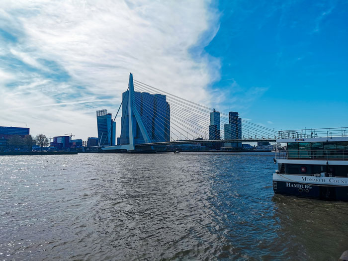 Erasmusbrug Que ver en Rotterdam