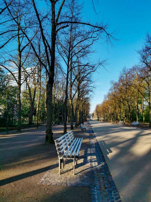 Parque Hofgarten Que ver en Dusseldorf