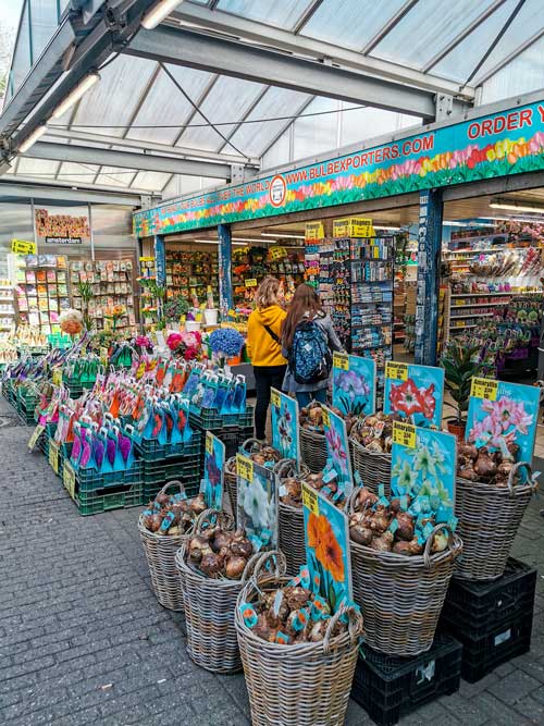 Mercado de las flores de Amsterda - Que ver en Amsterdam