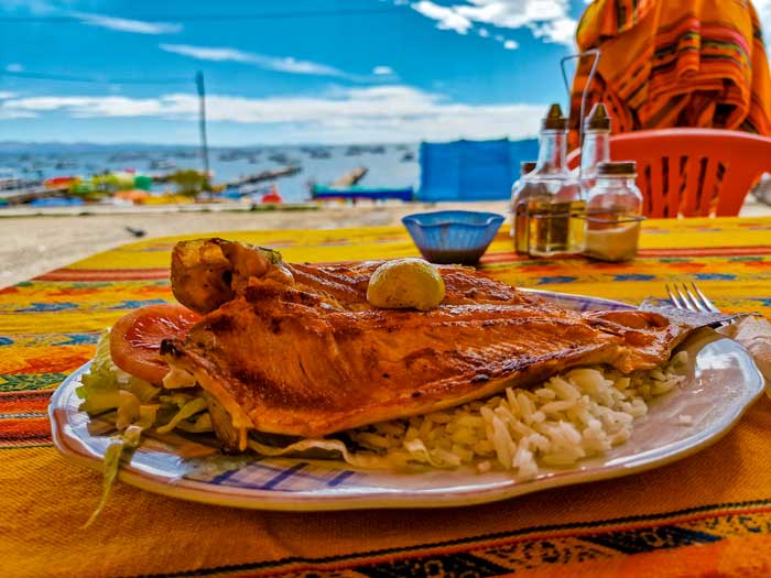 Trucha del Lago Titicaca. Que ver en Copacabana