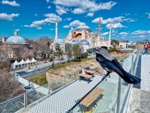Mezquita de Santa Sofia desde Seven Hills. Mejores Miradores de Estambul
