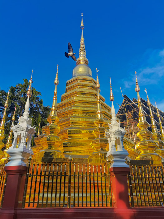 Wat Panthao Que ver en Chiang Mai