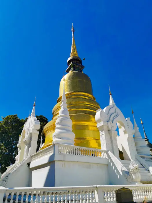 Wat Suan Dok Que ver en Chiang Mai