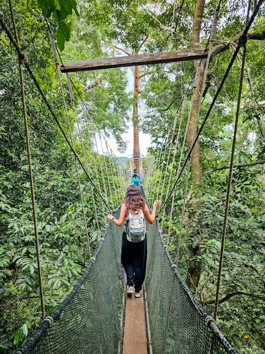 Canopy Walk Que ver en Kota Kinabalu